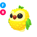 Pineapple Owl FR