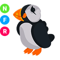 Puffin NFR