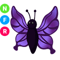 Purple Butterfly NFR