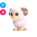 Ram FR