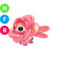 Rose Dragon NFR
