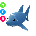 Shark NFR