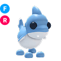 Shark Puppy FR