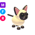 Siamese Cat MFR
