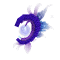 Moon Bloom Seed×1