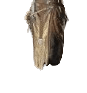 Slot 4